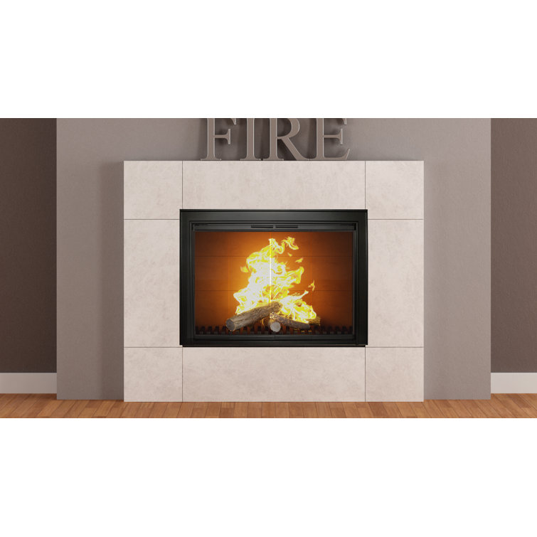 Ebern Designs Aceion Fireplace Door & Reviews Wayfair